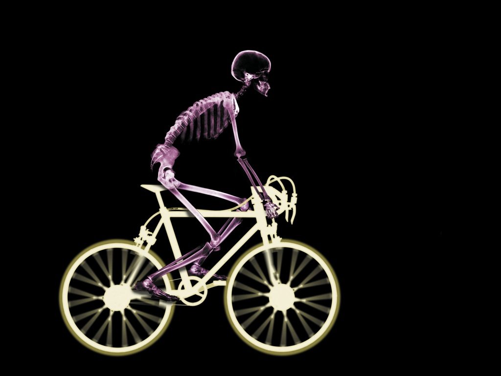 Обои рентген, скелет, велосипед, x-ray, skeleton, bike разрешение 3000x2250 Загрузить