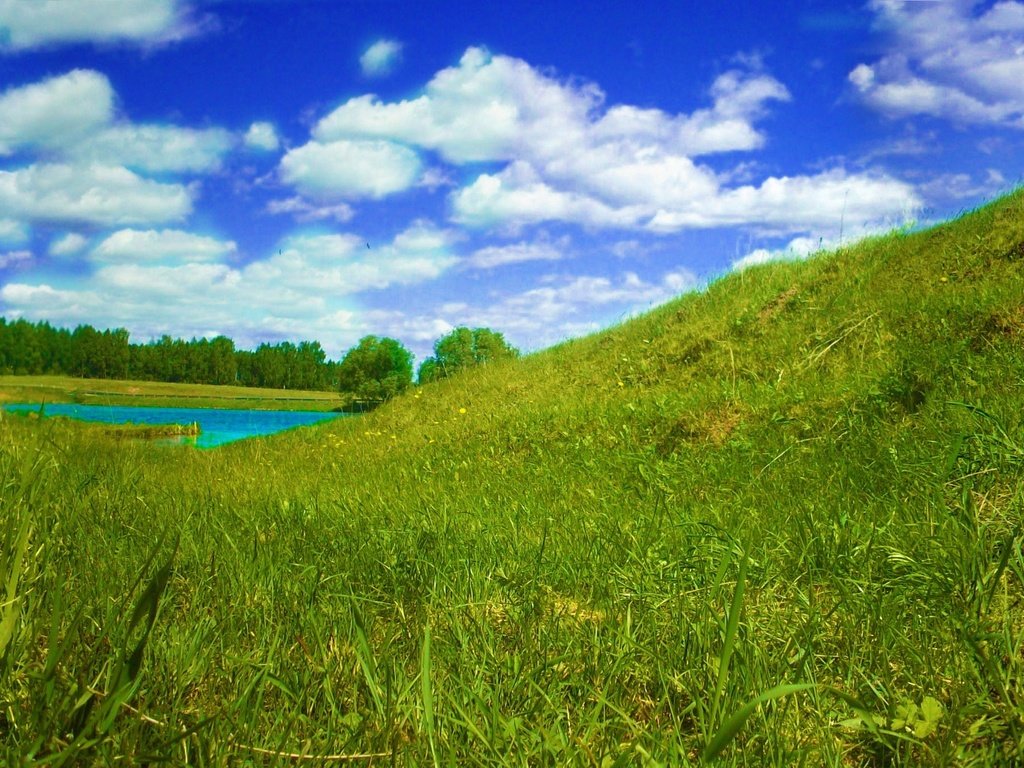 Обои небо, село, трава, река, лес, лето, панорама, бабочка, птицы, the sky, village, grass, river, forest, summer, panorama, butterfly, birds разрешение 5024x1360 Загрузить