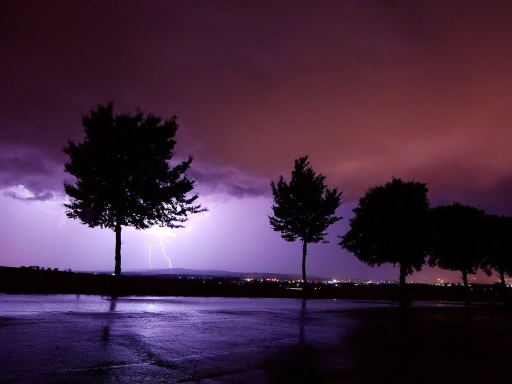 Обои деревья, буря, молния, trees, storm, lightning разрешение 1920x1200 Загрузить