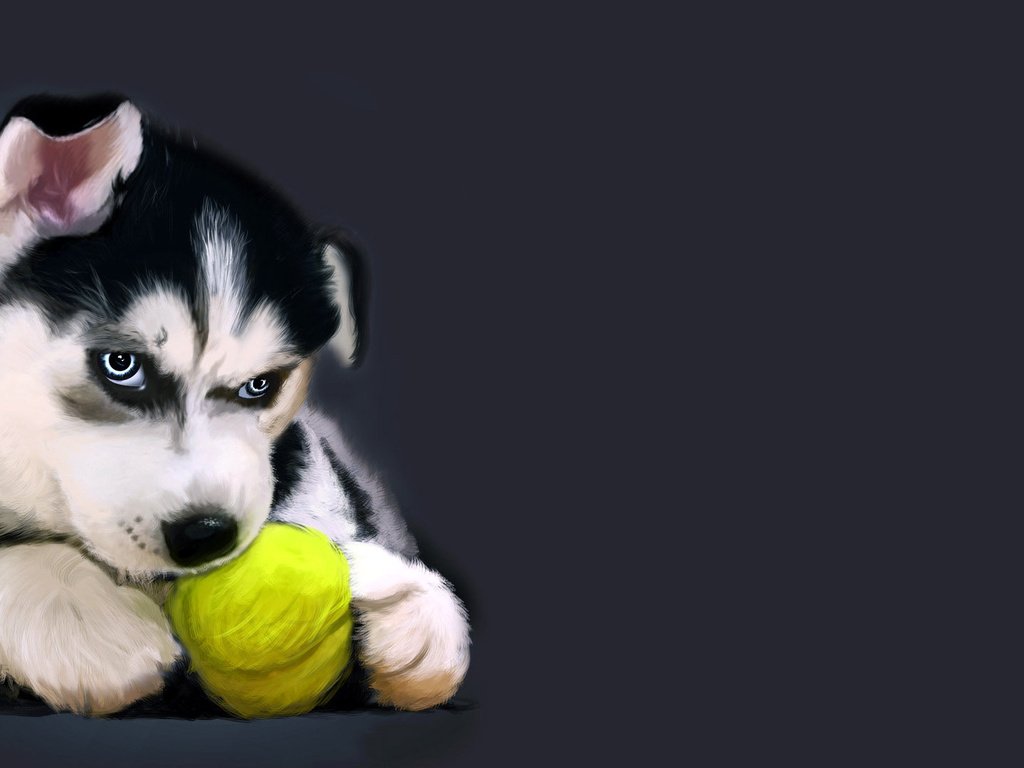Обои рисунок, собака, щенок, хаски, мячик, figure, dog, puppy, husky, the ball разрешение 1920x1080 Загрузить