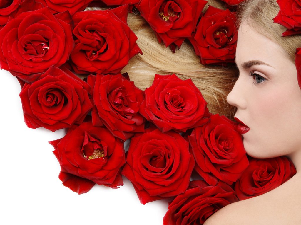Обои цветы, девушка, блондинка, роза, красный, flowers, girl, blonde, rose, red разрешение 2560x1600 Загрузить