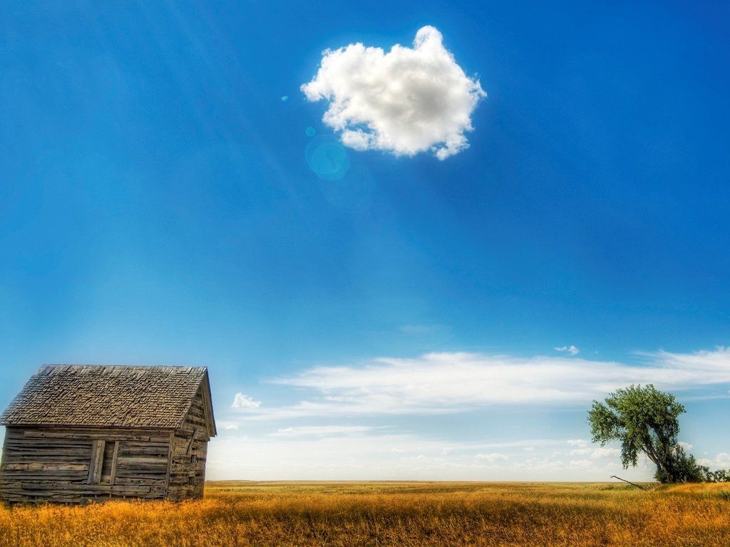 Обои облака, дерево, поле, дом, clouds, tree, field, house разрешение 2560x1600 Загрузить