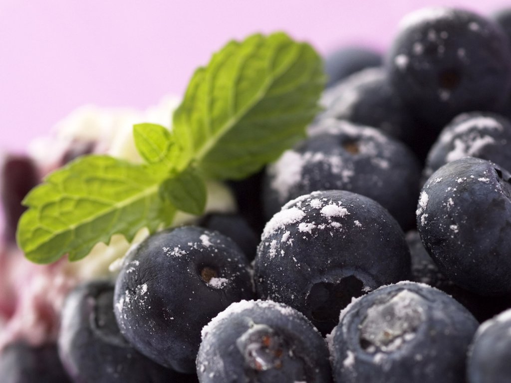Обои ягода, черника, лесная, berry, blueberries, forest разрешение 1920x1200 Загрузить