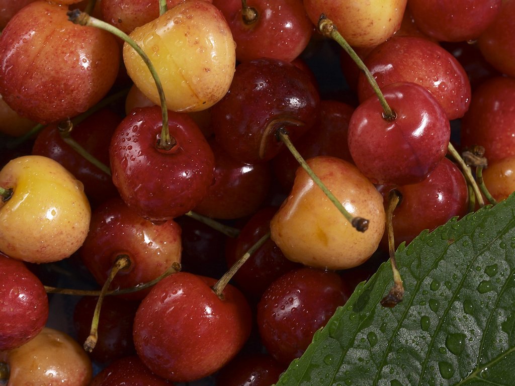 Обои черешня, cherry разрешение 2560x1600 Загрузить