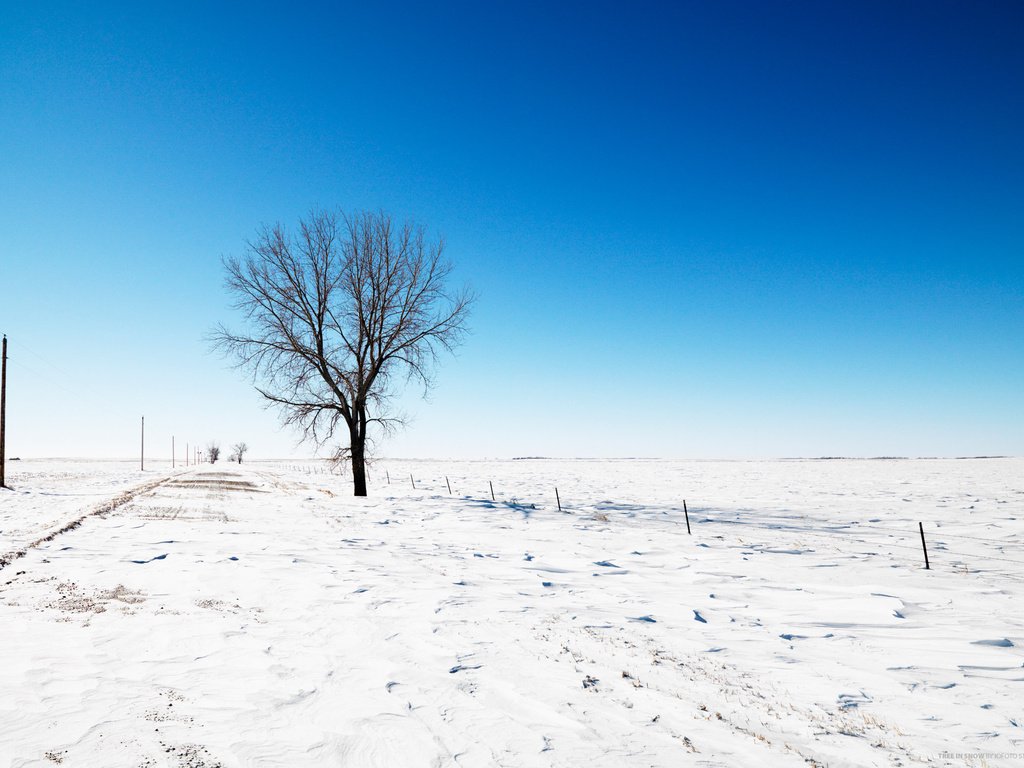 Обои небо, дорога, снег, дерево, зима, the sky, road, snow, tree, winter разрешение 2560x1600 Загрузить