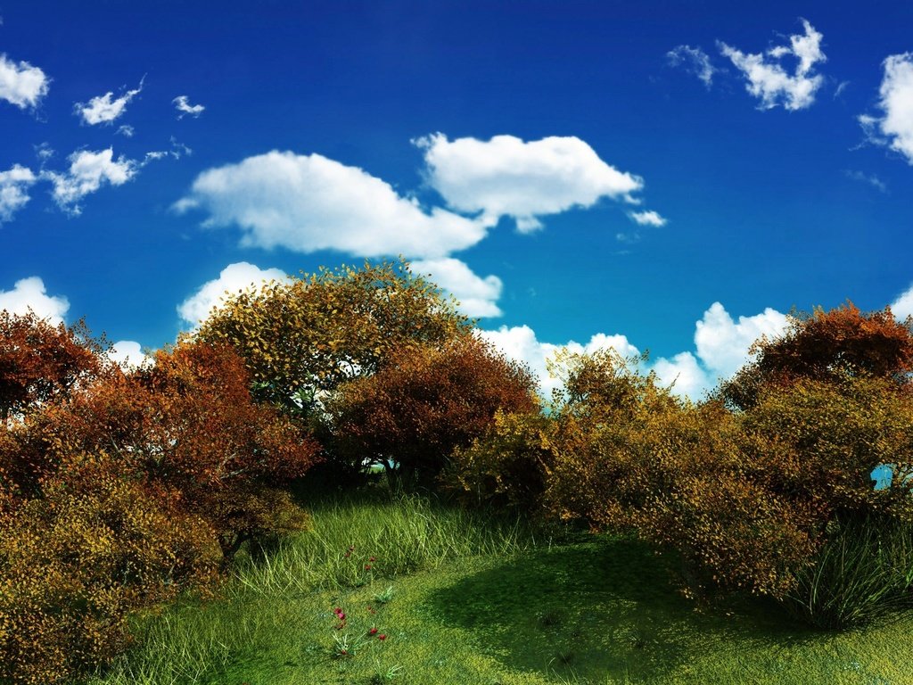 Обои небо, облака, зелень, куст, the sky, clouds, greens, bush разрешение 2560x1600 Загрузить