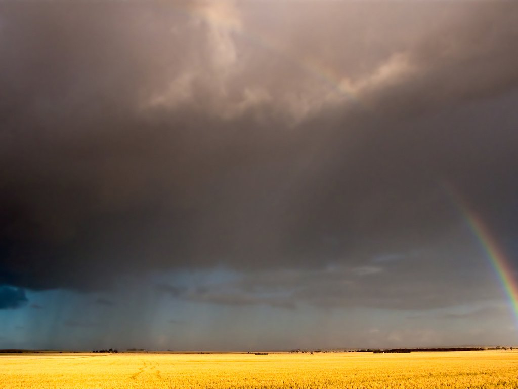 Обои небо, облака, поле, радуга, the sky, clouds, field, rainbow разрешение 2560x1600 Загрузить