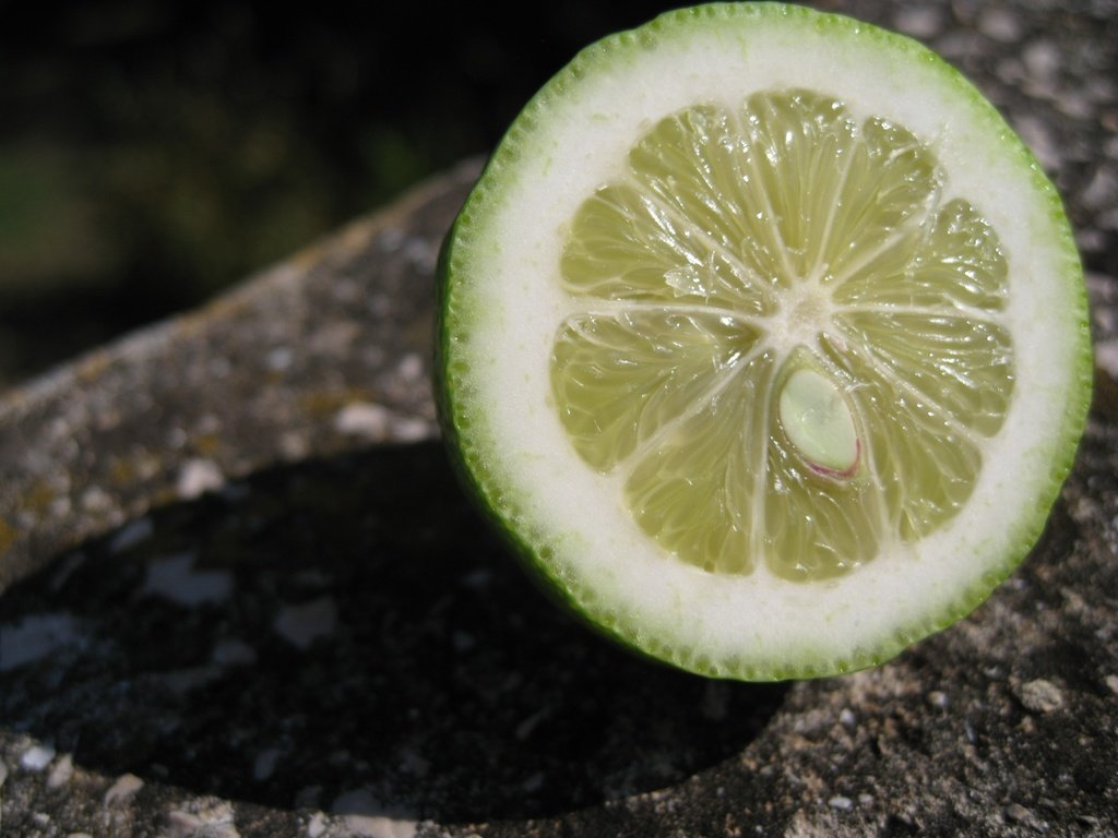 Обои зелёный, фрукты, лайм, цитрус, кислый, green, fruit, lime, citrus, sour разрешение 3264x2448 Загрузить