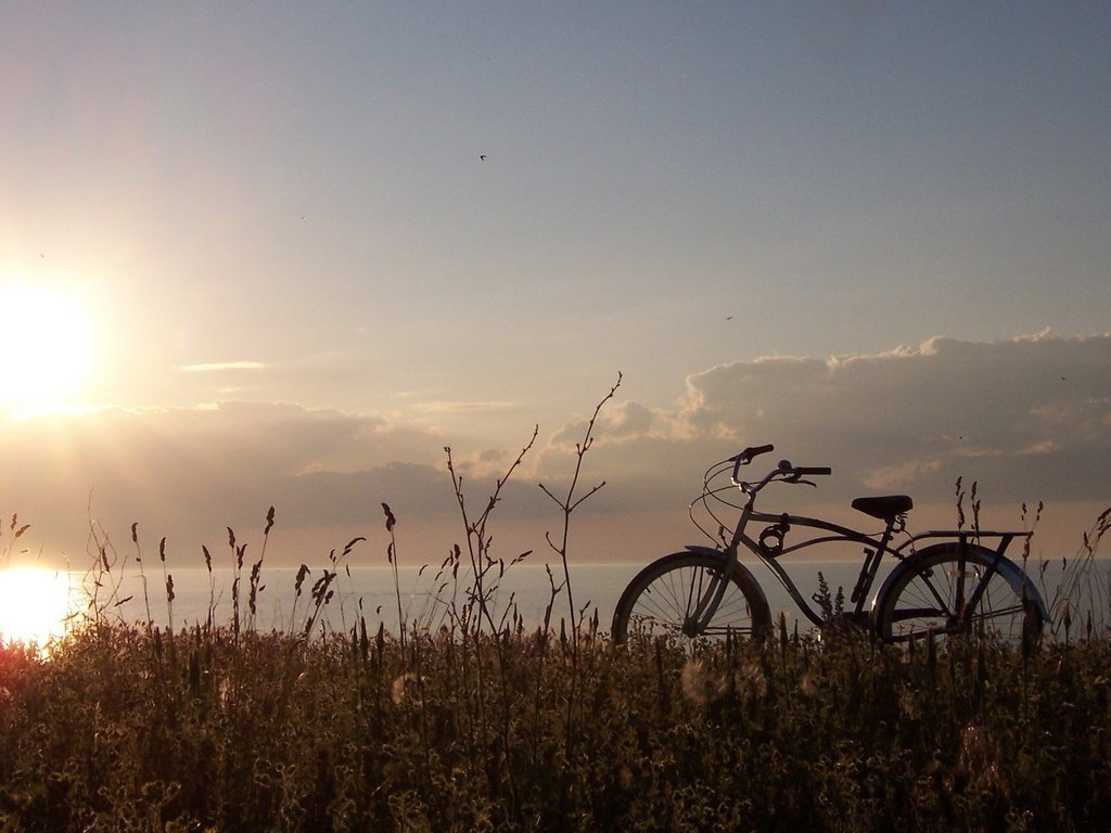 Обои трава, солнце, природа, пейзаж, велосипед, grass, the sun, nature, landscape, bike разрешение 1920x1200 Загрузить