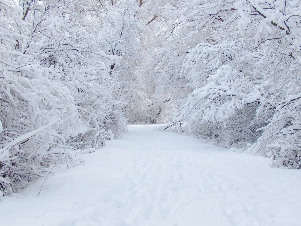 Обои дорога, снег, зима, road, snow, winter разрешение 1920x1280 Загрузить