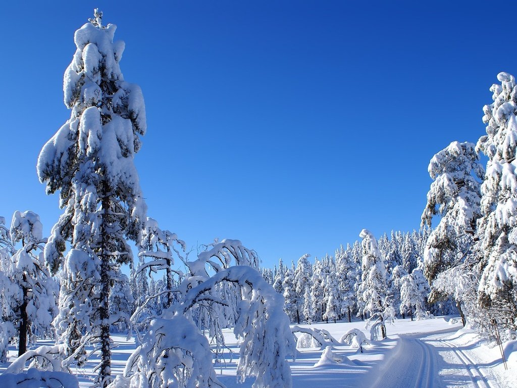 Обои небо, дорога, снег, природа, зима, пейзаж, холод, ели, the sky, road, snow, nature, winter, landscape, cold, ate разрешение 1920x1200 Загрузить