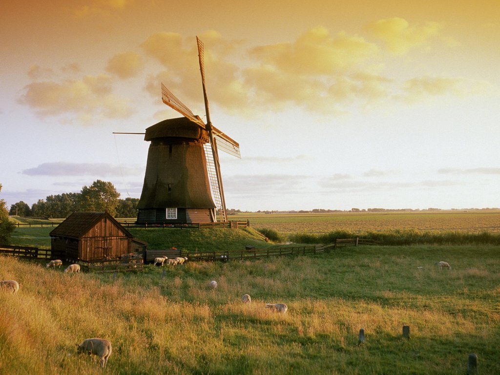 Обои закат, горизонт, нидерланды, ветряная лестница, sunset, horizon, netherlands, windmill ladder разрешение 1920x1200 Загрузить