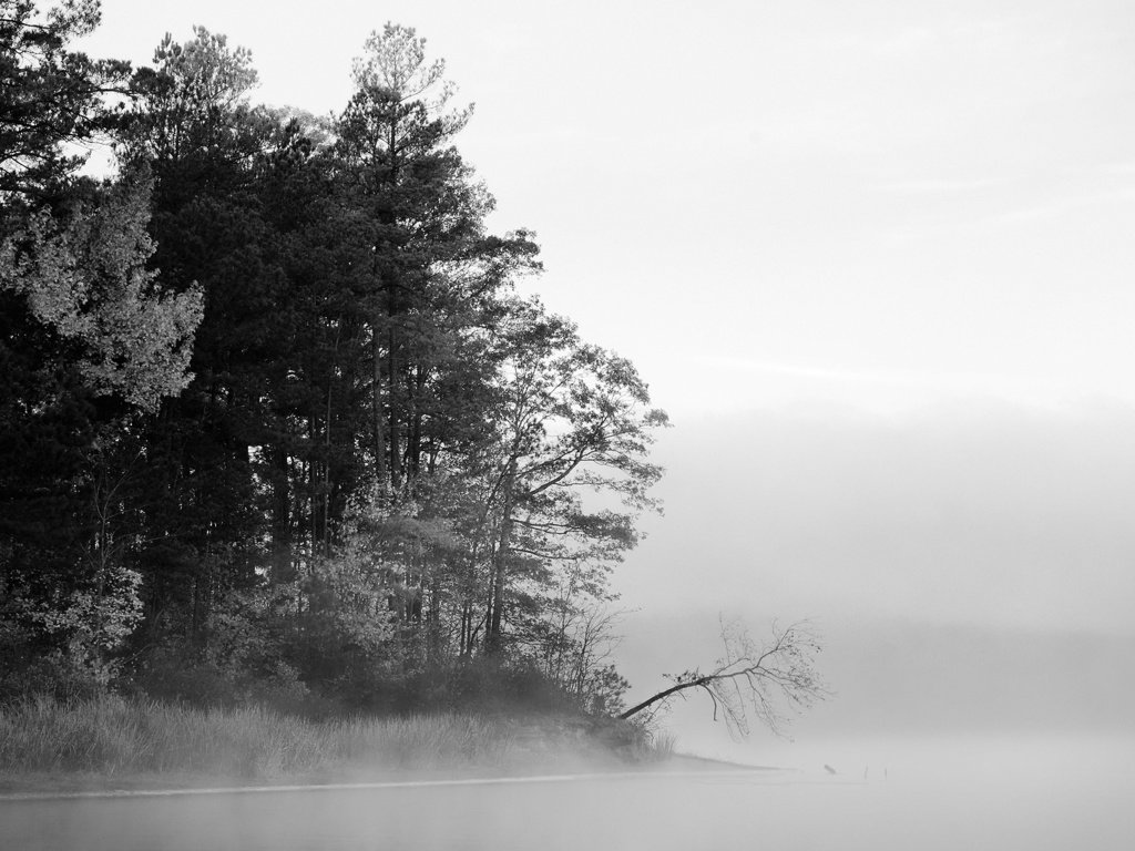 Обои деревья, вода, озеро, лес, туман, чёрно-белое, черно-белая, trees, water, lake, forest, fog, black and white разрешение 1920x1200 Загрузить