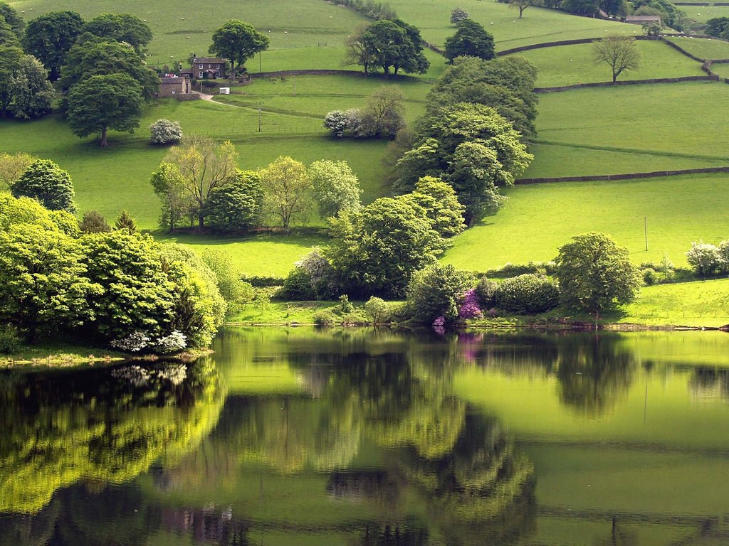 Обои озеро, зелень, отражение, lake, greens, reflection разрешение 2560x1600 Загрузить