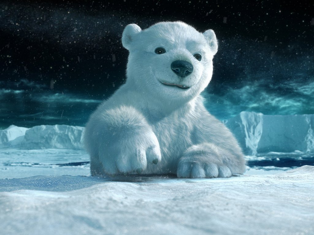 Обои снег, полярный медведь, лёд, snow, polar bear, ice разрешение 1920x1080 Загрузить