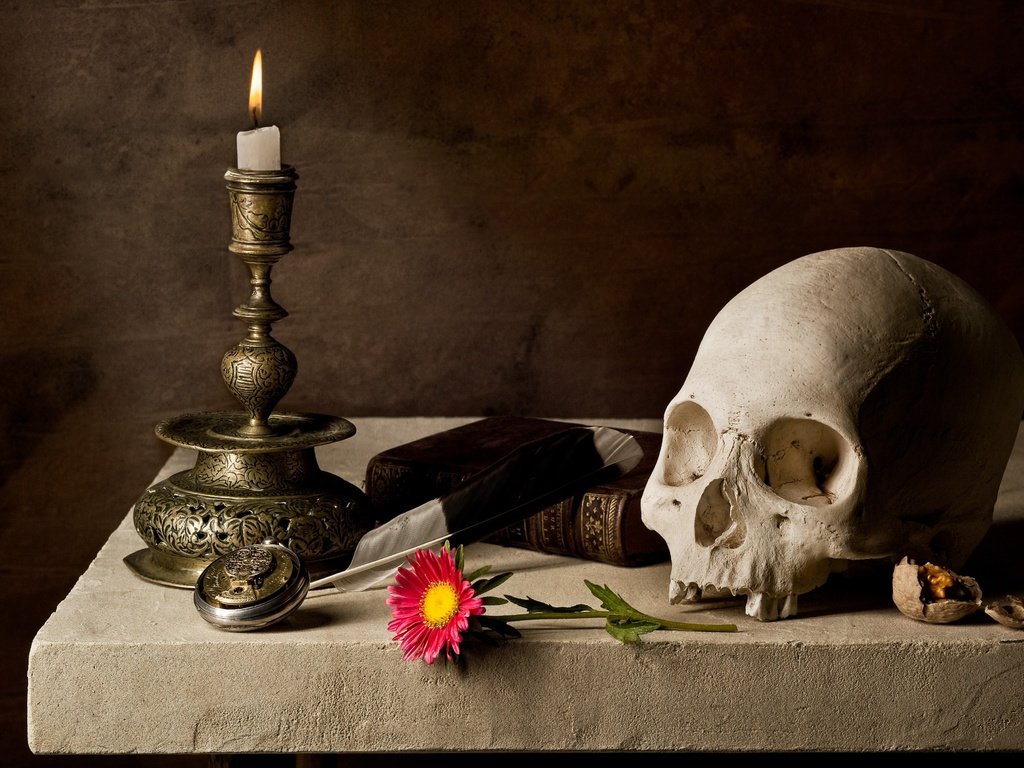 Обои череп, свеча, книга, skull, candle, book разрешение 4056x2830 Загрузить