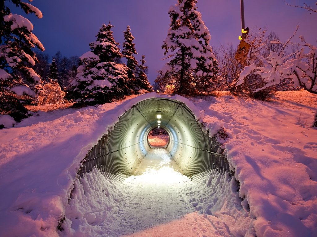 Обои деревья, снег, зима, туннель, trees, snow, winter, the tunnel разрешение 3574x2456 Загрузить