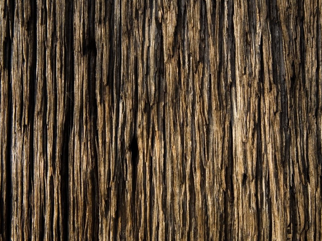 Обои дерево, текстура, доска, обоя, древесина, красивая, tree, texture, board, wallpaper, wood, beautiful разрешение 2048x1122 Загрузить