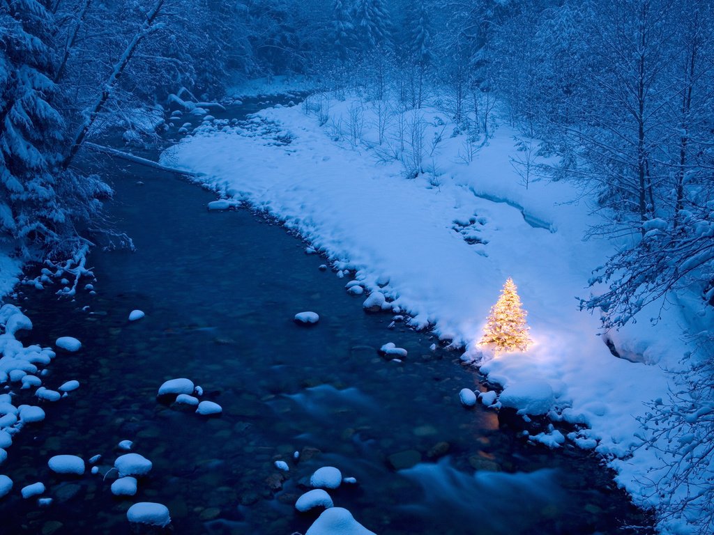 Обои река, елка, лес, гирлянды, зимний, новогодняя, river, tree, forest, garland, winter, christmas разрешение 1920x1200 Загрузить