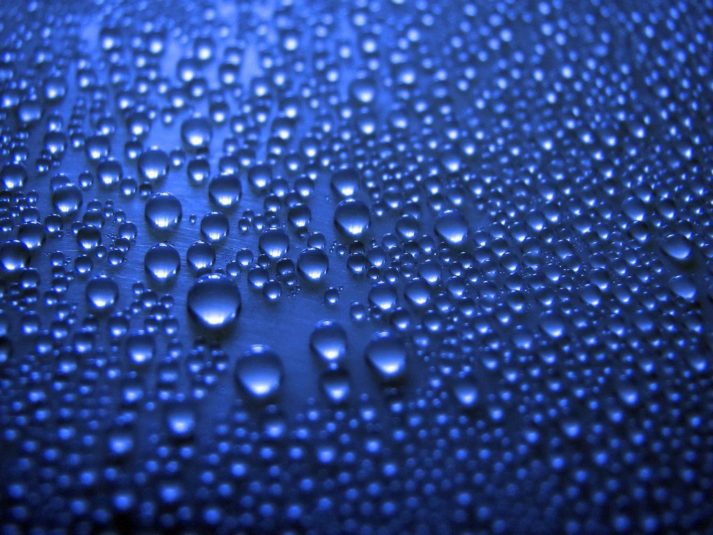 Обои макро, капли, красота, синий цвет, macro, drops, beauty, blue color разрешение 1920x1200 Загрузить