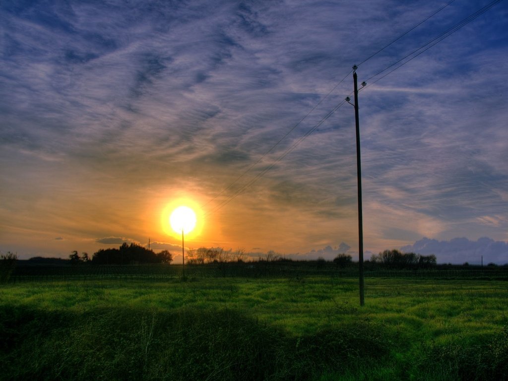 Обои трава, солнце, столбы, grass, the sun, posts разрешение 1920x1440 Загрузить