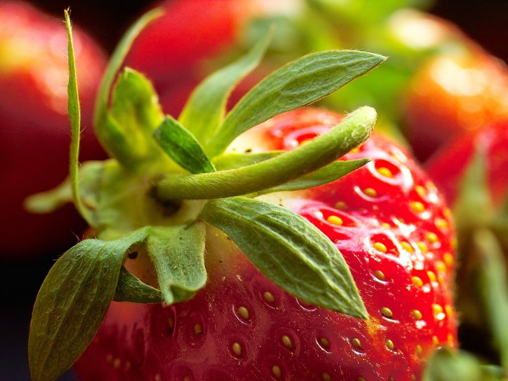 Обои макро, ягода, красная, клубника, macro, berry, red, strawberry разрешение 1920x1280 Загрузить