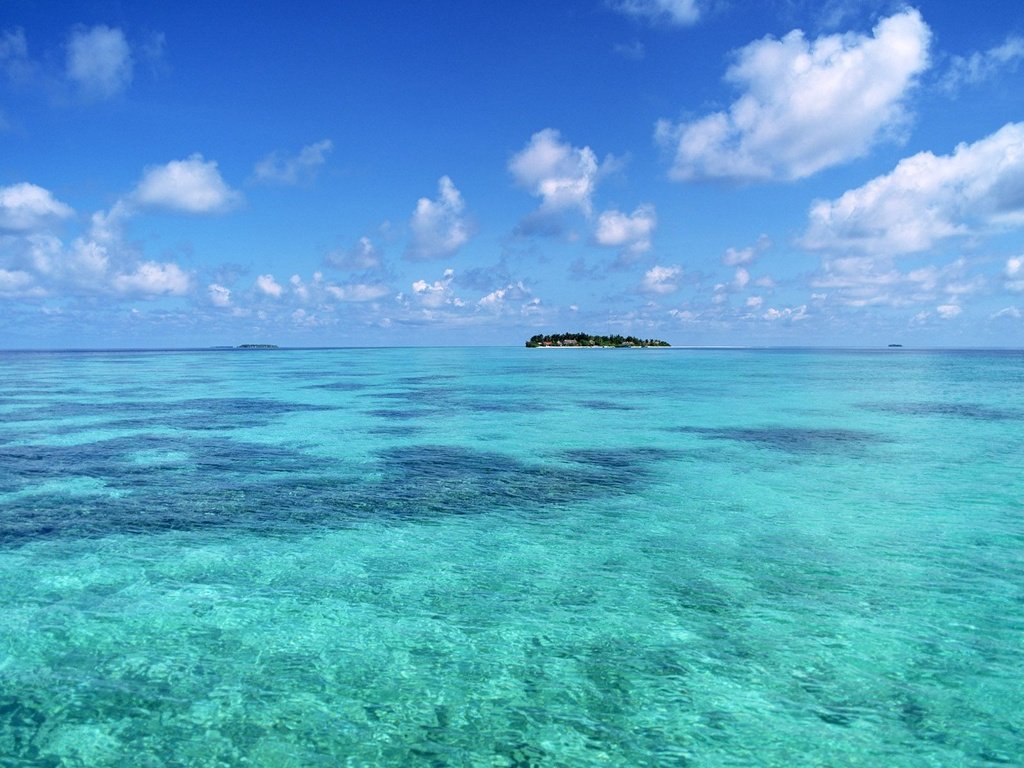 Обои небо, облака, пальмы, океан, остров, тропики, остроп, the sky, clouds, palm trees, the ocean, island, tropics, ostrop разрешение 1920x1200 Загрузить