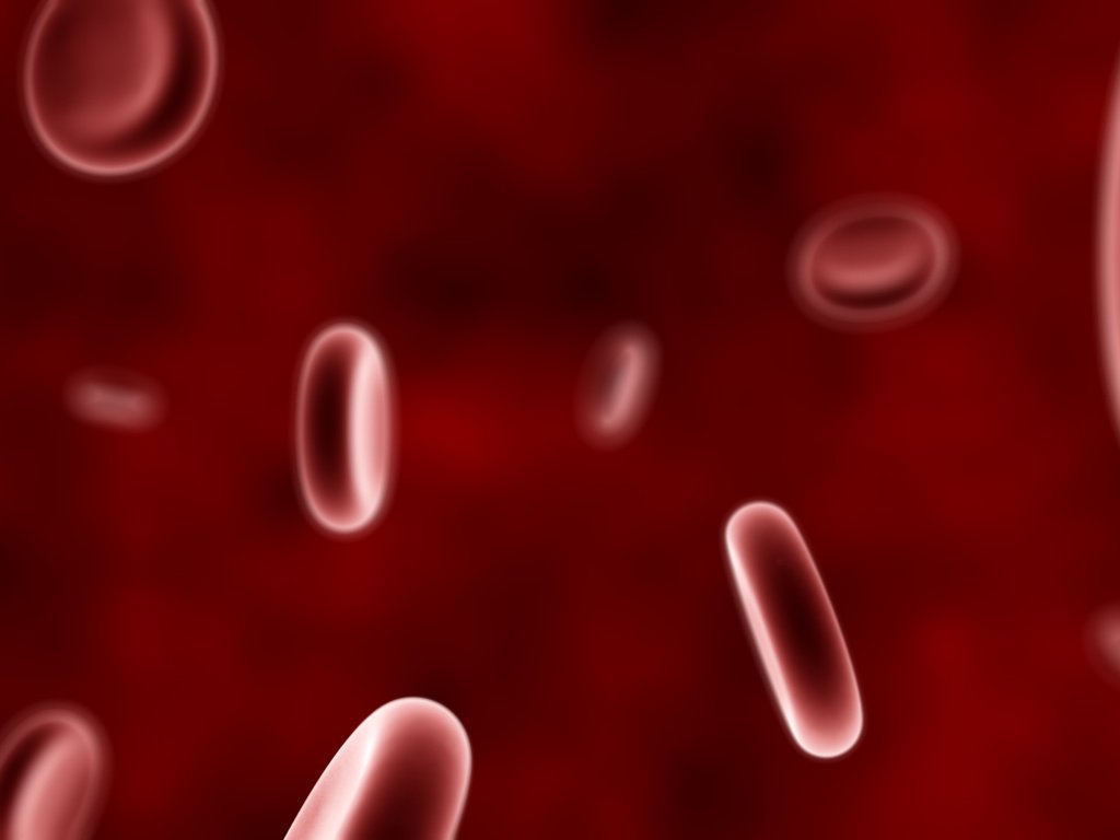 Обои кровь, красный, кровяные тельца, blood, red, blood cells разрешение 4800x1200 Загрузить