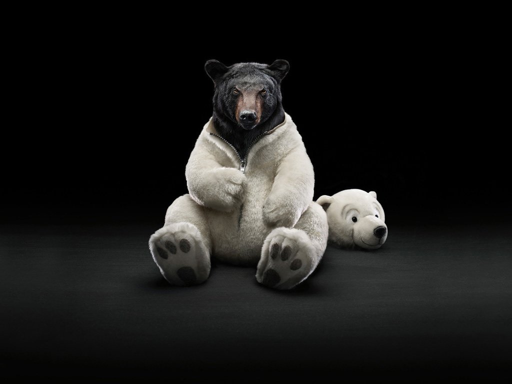 Обои медведь, костюм, шуба, bear, costume, coat разрешение 1920x1200 Загрузить