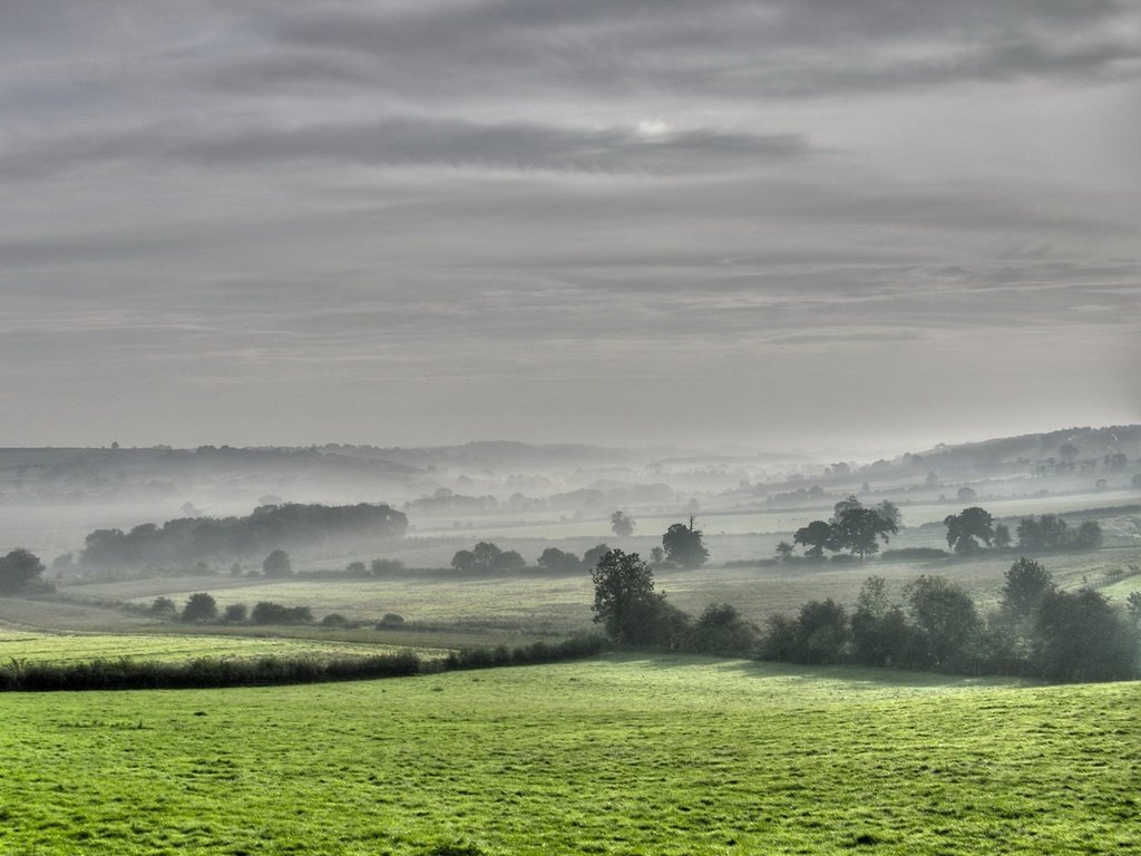 Обои деревья, поля, туман, trees, field, fog разрешение 1920x1440 Загрузить