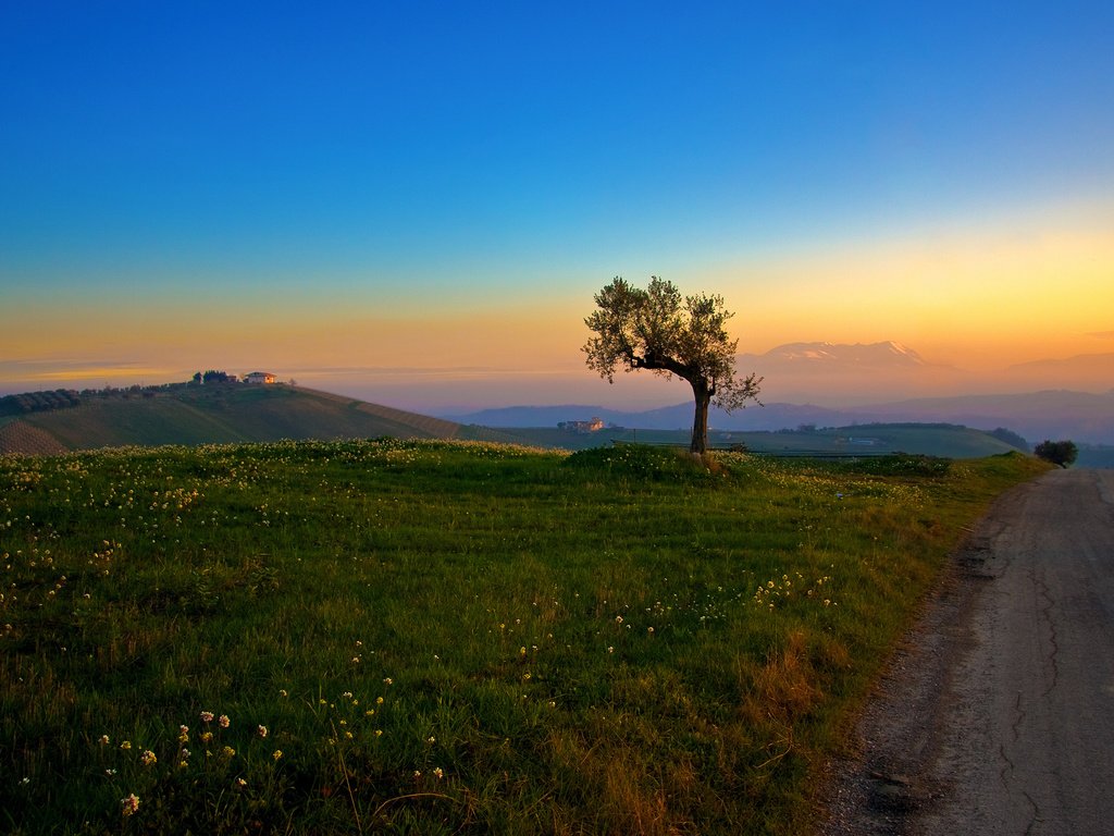 Обои дорога, трава, холмы, дерево, утро, road, grass, hills, tree, morning разрешение 2560x1600 Загрузить