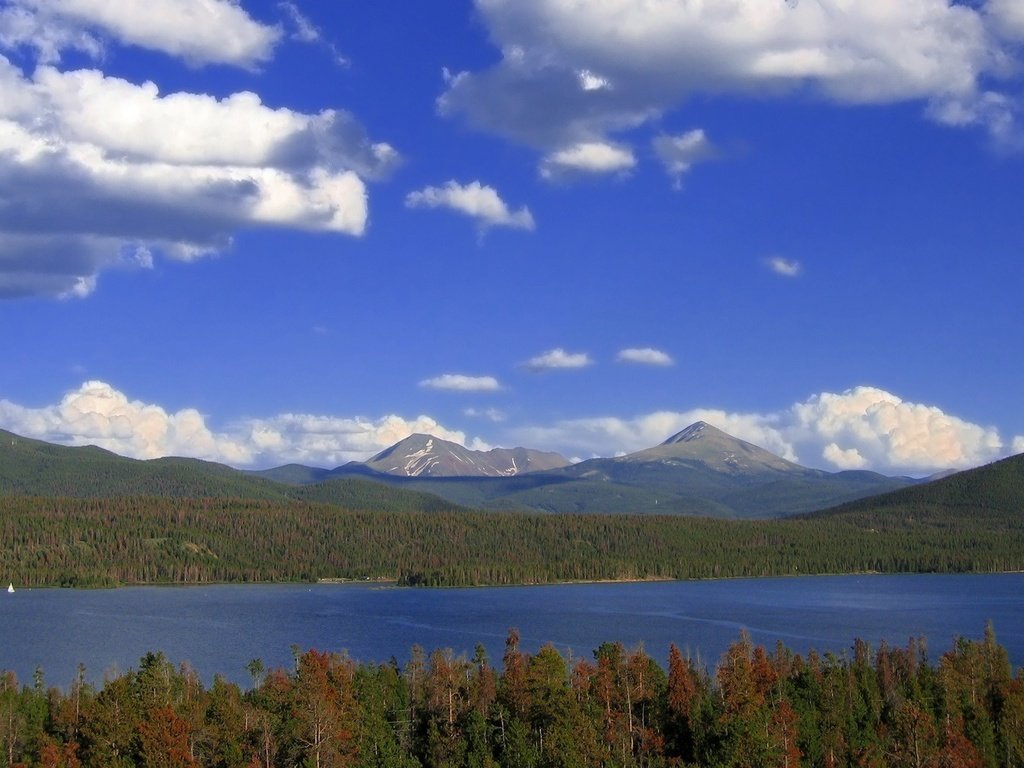 Обои облака, деревья, озеро, лес, clouds, trees, lake, forest разрешение 1920x1200 Загрузить