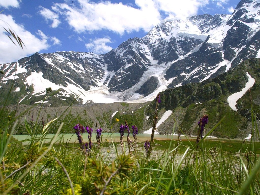 Обои трава, горы, луг, альпы, снежная вершина, grass, mountains, meadow, alps, snow peak разрешение 2560x1600 Загрузить