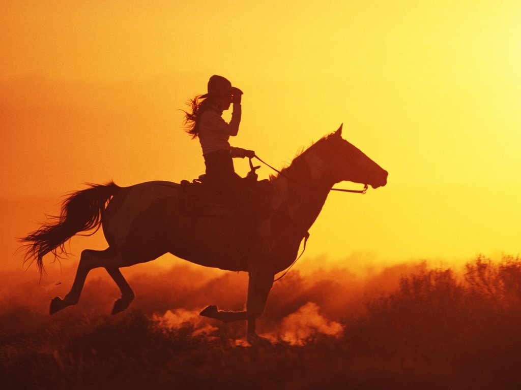 Обои лошадь, закат, девушка, голоп, horse, sunset, girl, the golop разрешение 2560x1600 Загрузить