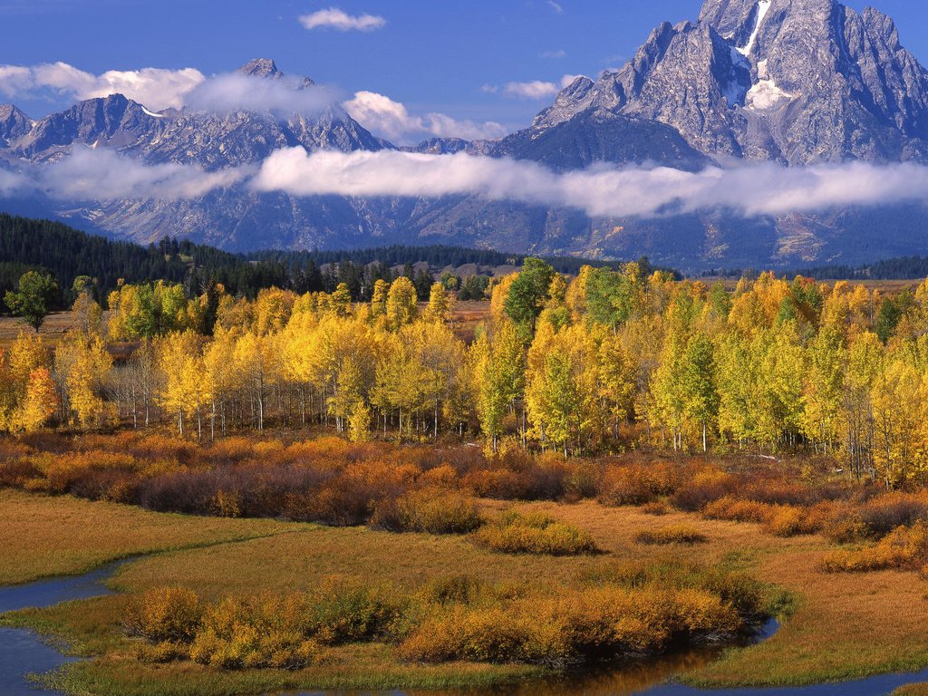 Обои облака, деревья, горы, осень, clouds, trees, mountains, autumn разрешение 1920x1080 Загрузить