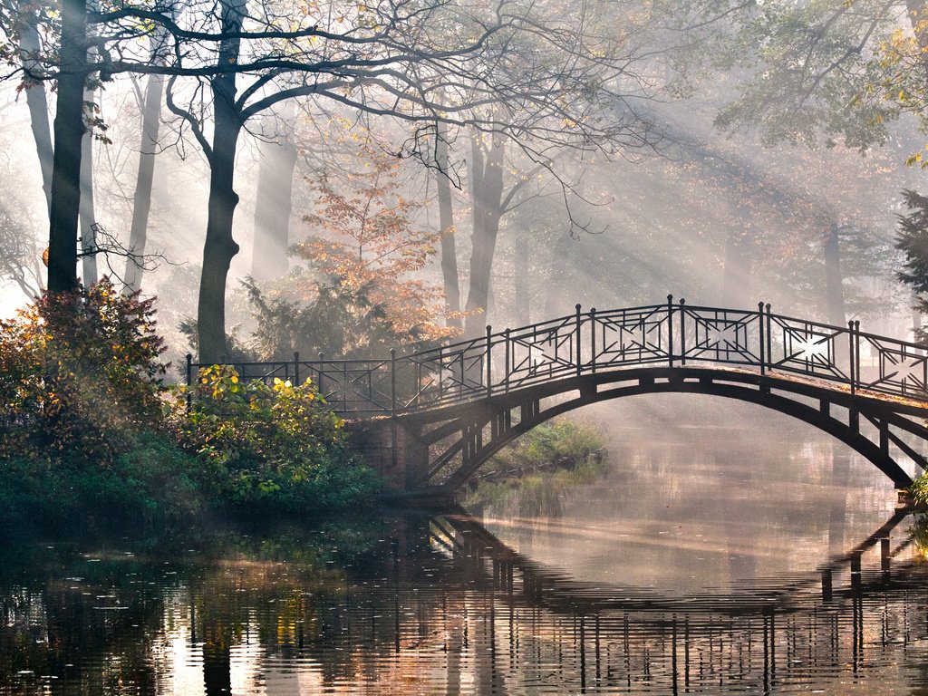 Обои деревья, природа, мостик, лучи, парк, кусты, романтика, речка, trees, nature, the bridge, rays, park, the bushes, romance, river разрешение 4288x2848 Загрузить