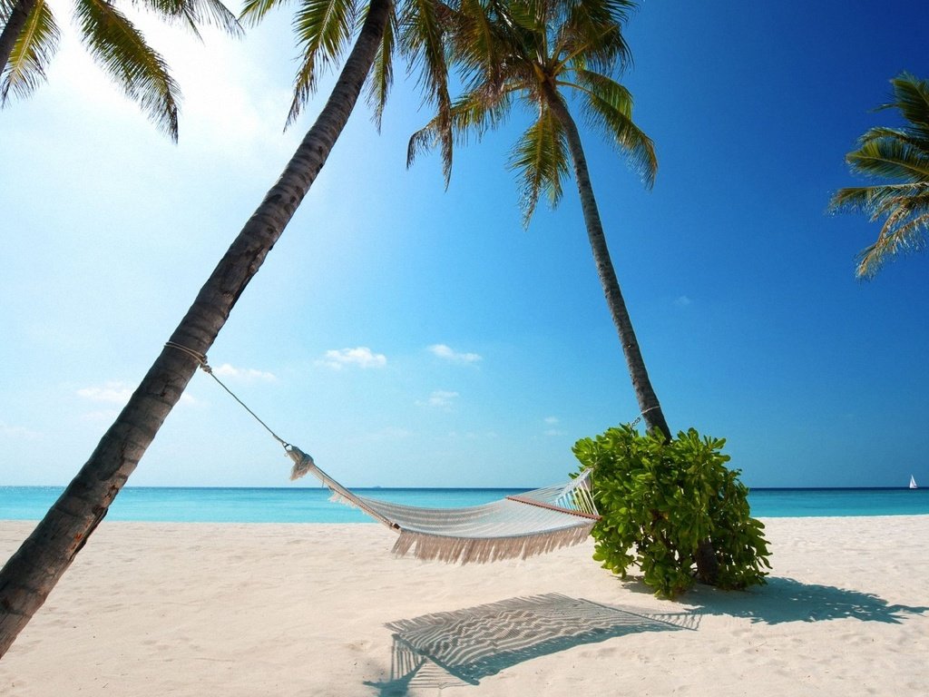 Обои пляж, пальмы, океан, гамак, тропики, beach, palm trees, the ocean, hammock, tropics разрешение 1920x1080 Загрузить