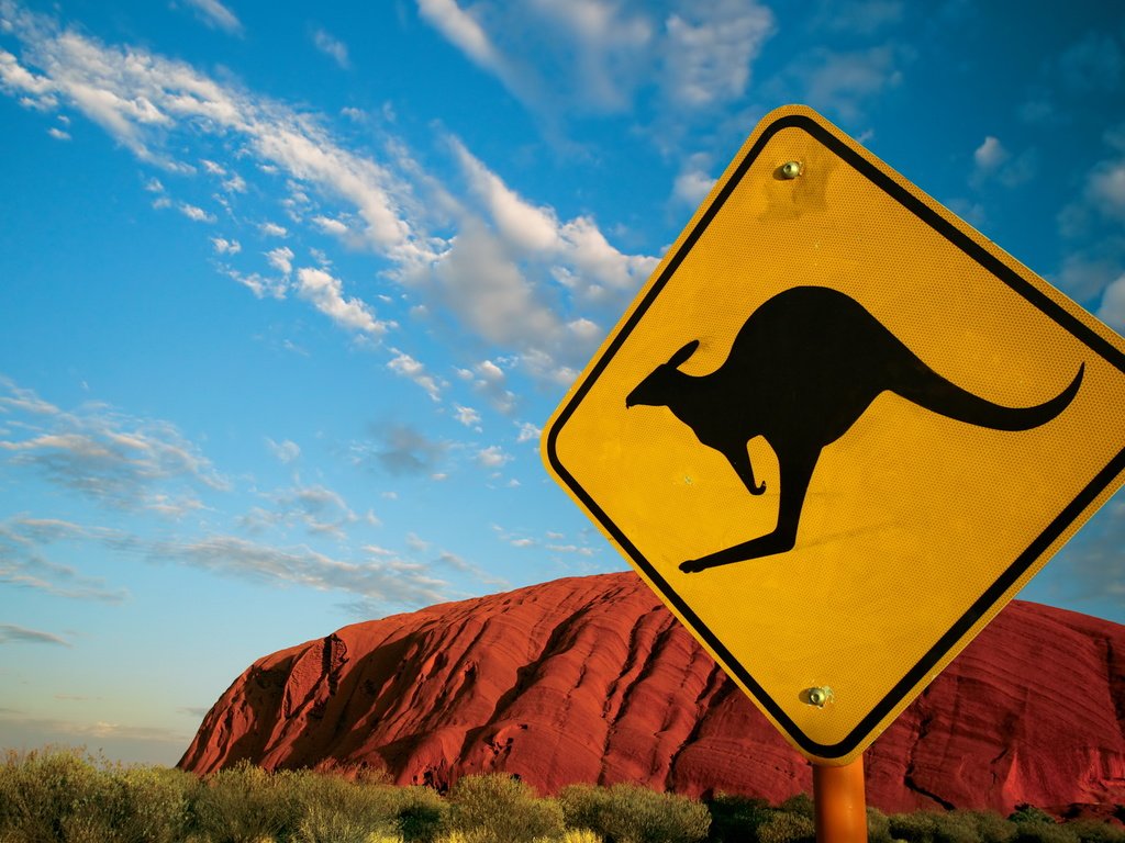 Обои пустыня, гора, австралия, знак, кенгуру, дорожный знак, desert, mountain, australia, sign, kangaroo, road sign разрешение 2560x1600 Загрузить