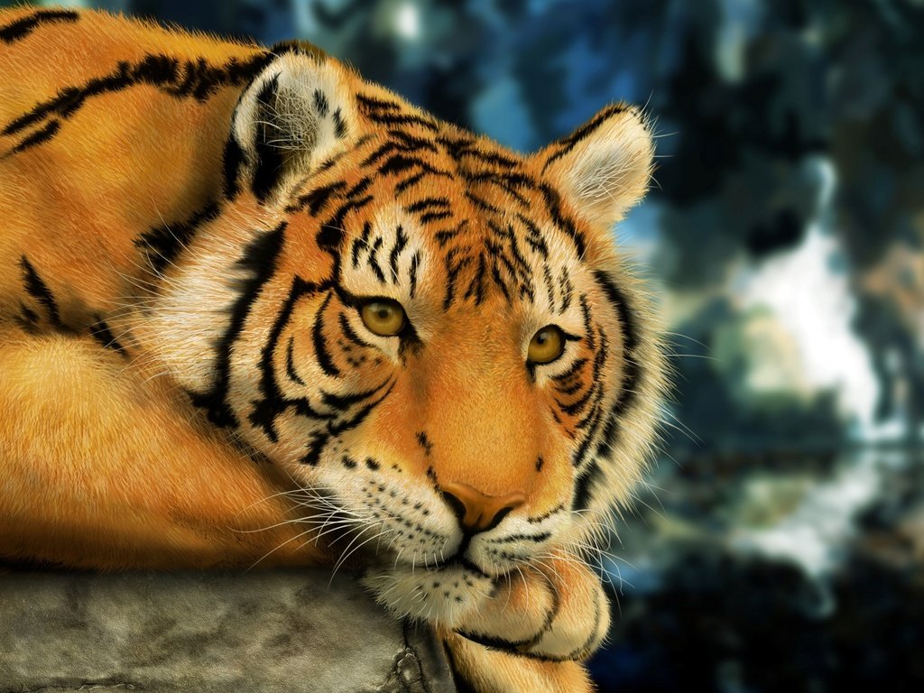 Обои тигр, морда, лапы, смотрит, хищник, большая кошка, отдых, бенгальский тигр, tiger, face, paws, looks, predator, big cat, stay, bengal tiger разрешение 2560x1600 Загрузить