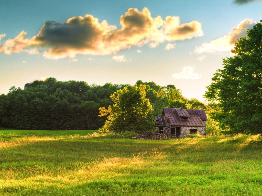 Обои небо, трава, облака, лес, лето, поляна, домик, the sky, grass, clouds, forest, summer, glade, house разрешение 2560x1600 Загрузить