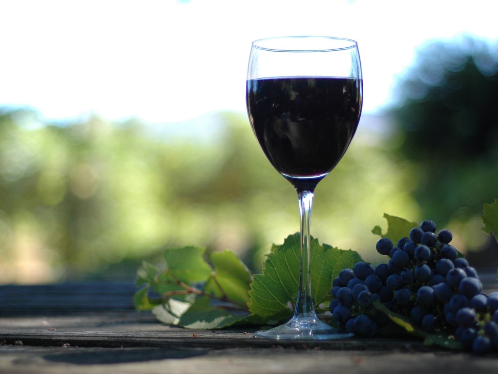 Обои разное, вино, винаград, бутилко, деревия, different, wine, winograd, butilka, derive разрешение 2514x1671 Загрузить