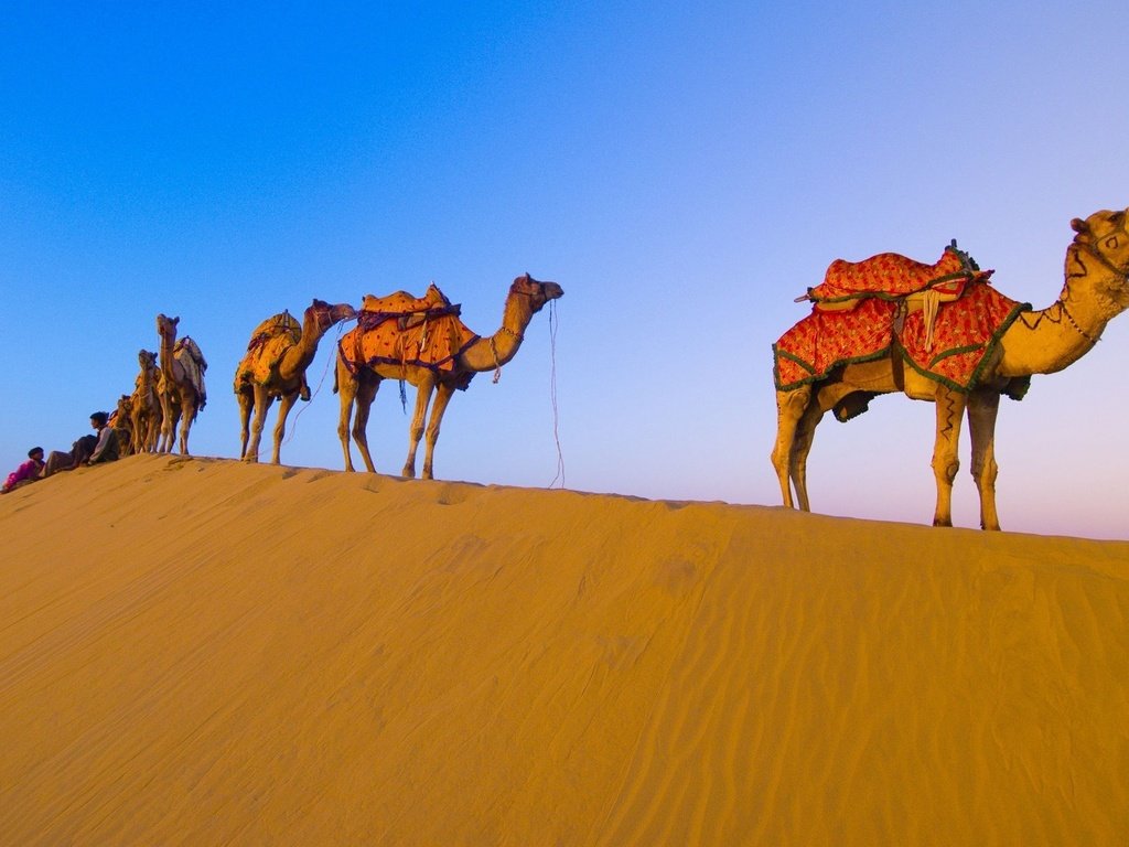 Обои пустыня, караван, верблюды, desert, caravan, camels разрешение 1920x1080 Загрузить