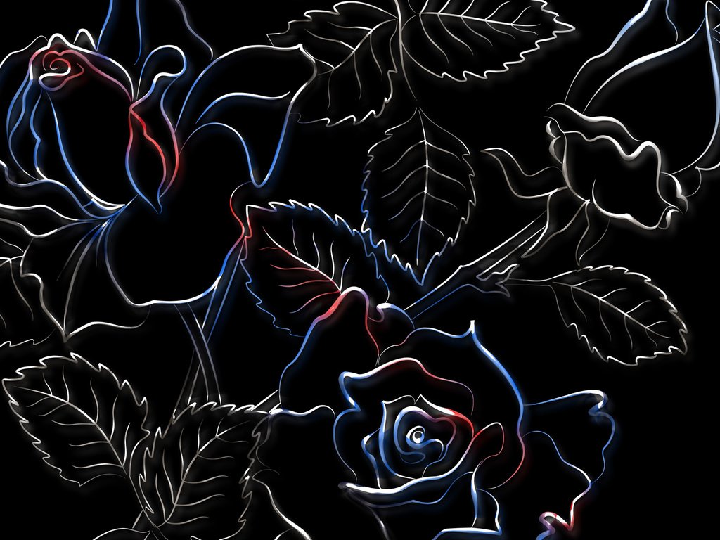 Обои рисунок, розы, черный фон, figure, roses, black background разрешение 2560x1600 Загрузить