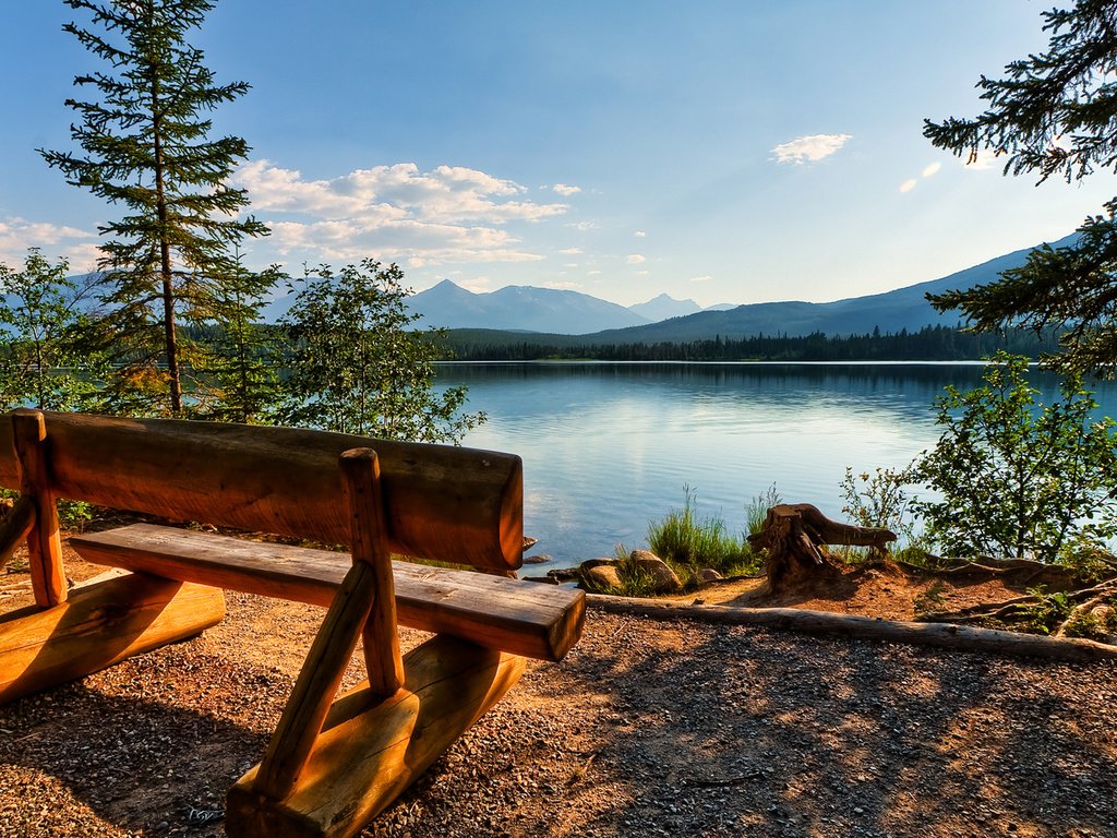 Обои деревья, озеро, берег, скамейка, бревна, trees, lake, shore, bench, logs разрешение 1920x1080 Загрузить