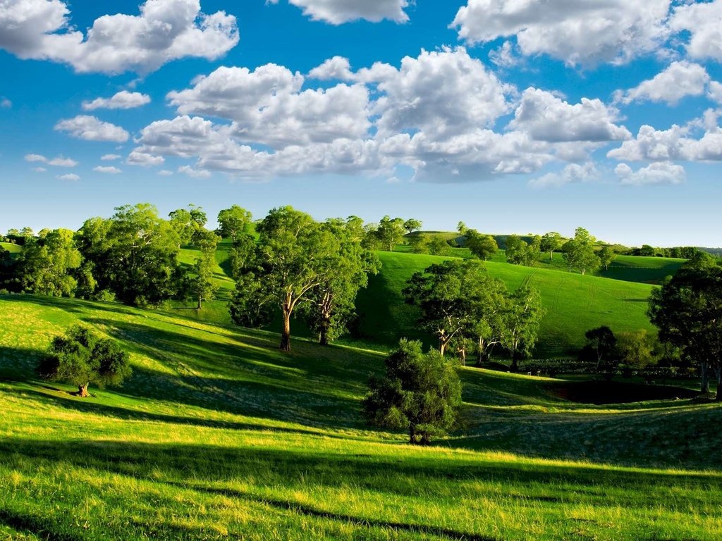 Обои небо, луга, облака, деревья, холмы, зелень, пейзаж, лето, тени, the sky, meadows, clouds, trees, hills, greens, landscape, summer, shadows разрешение 1920x1200 Загрузить