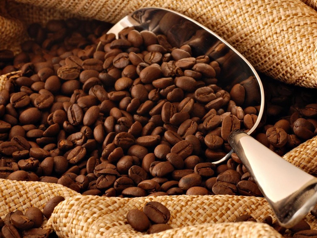 Обои зерна, кофе, мешок, кофейные зерна, совок, grain, coffee, bag, coffee beans, scoop разрешение 1920x1200 Загрузить