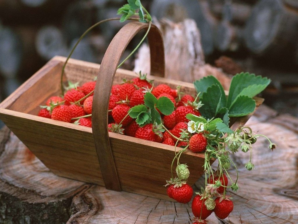 Обои корзина, ягоды, земляника, basket, berries, strawberries разрешение 1920x1200 Загрузить