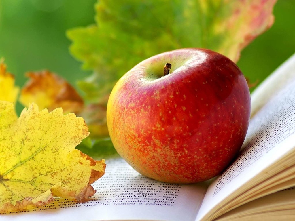 Обои листья, яблоко, книга, leaves, apple, book разрешение 1920x1200 Загрузить