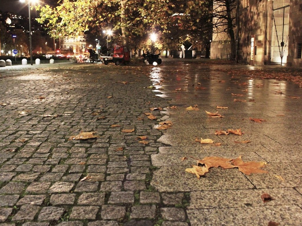 Обои листья, город, осень, leaves, the city, autumn разрешение 1920x1200 Загрузить