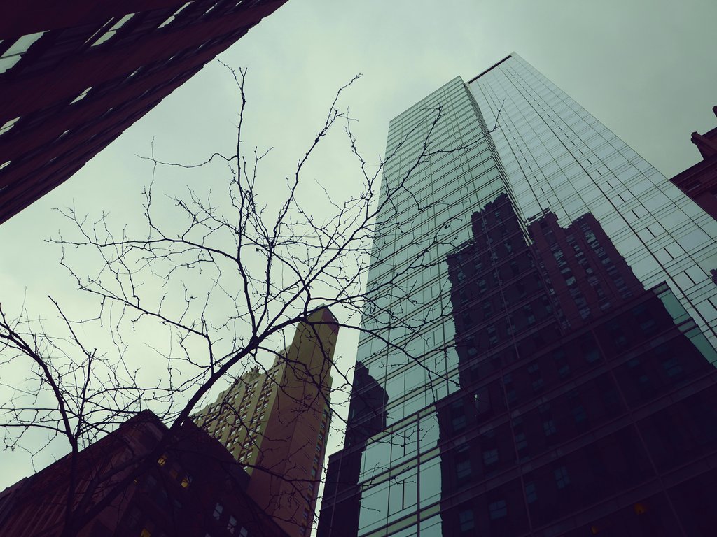 Обои небо, отражение, город, осень, небоскребы, здания, the sky, reflection, the city, autumn, skyscrapers, building разрешение 1920x1200 Загрузить